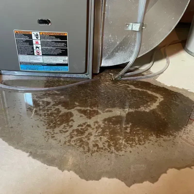 Appliance Leak Cleanup in Seminole County, GA